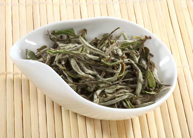 白茶是什么茶?