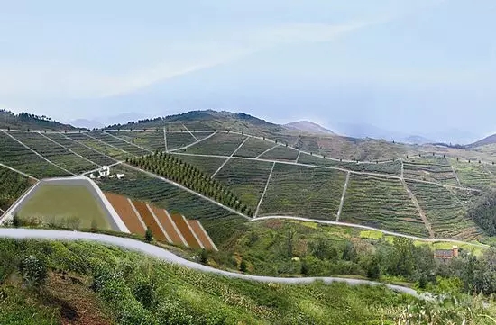 岗地用处多!地合网土地顾问为你剖析岗地的价值