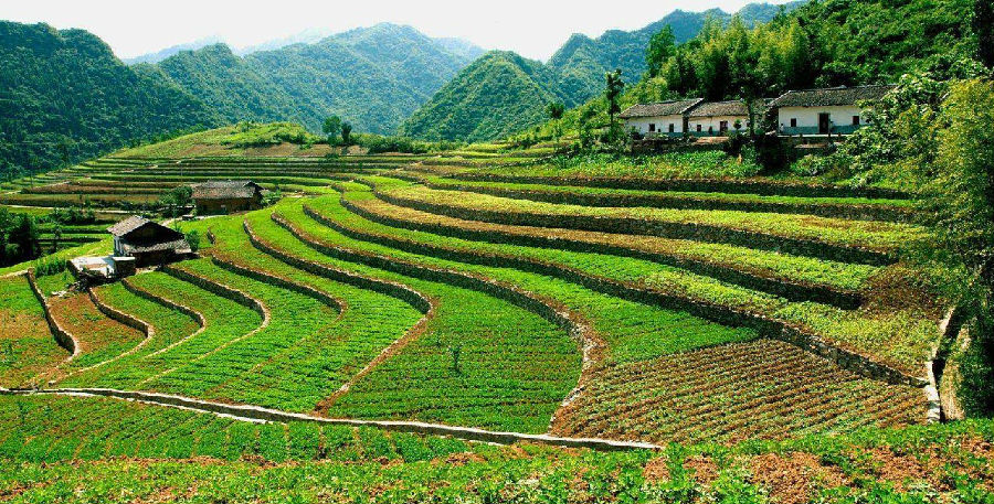 "田园综合体"拿地攻略:哪些地可作为休闲农业用地?