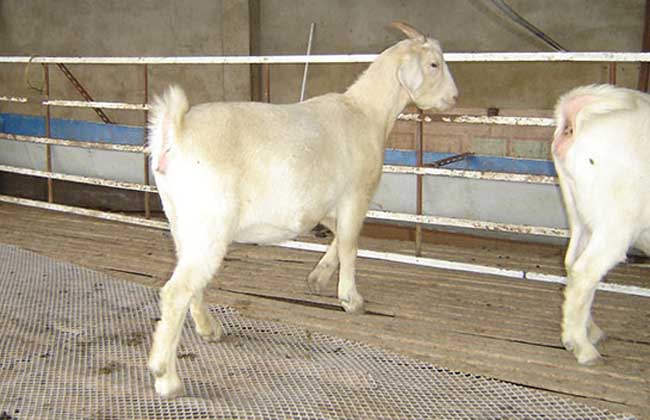 news_1518069258921.jpg
