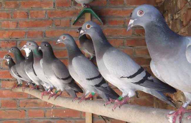 news_1518069655997.jpg