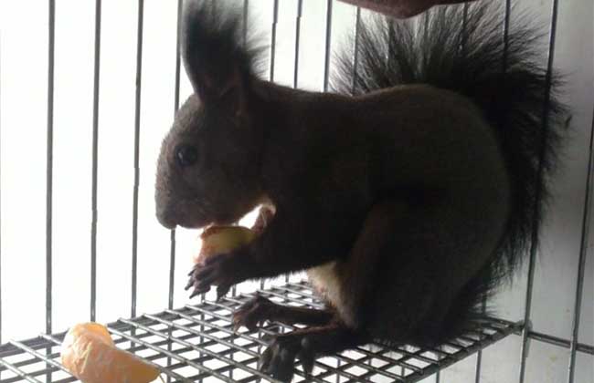 news_1518070194124.jpg